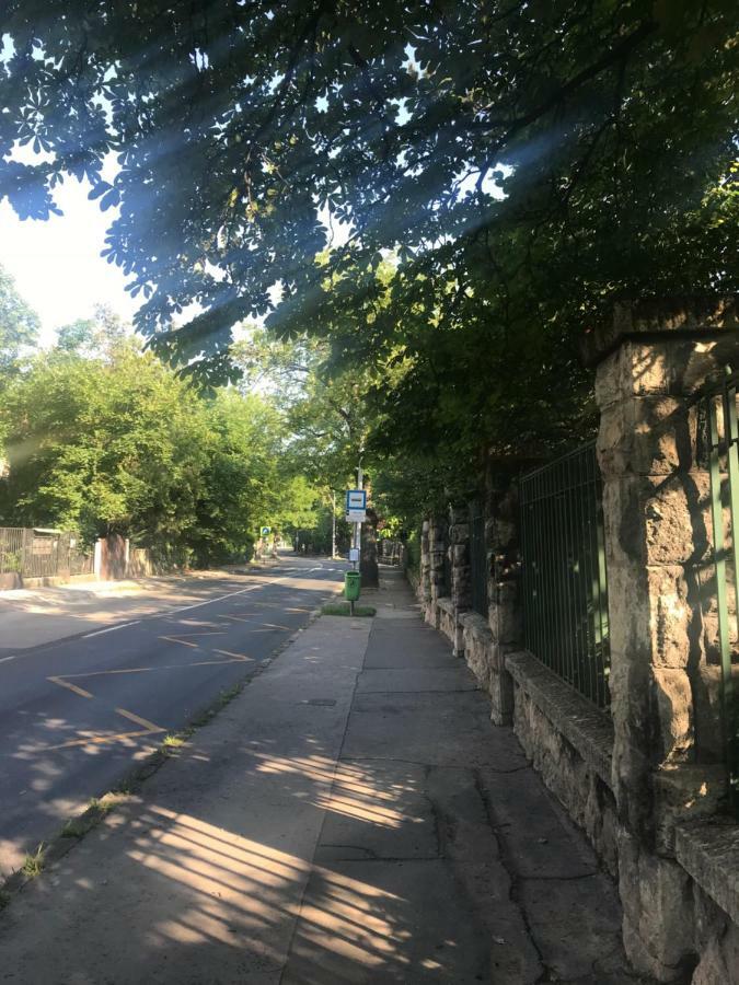 Pasaret Studio Βουδαπέστη Εξωτερικό φωτογραφία